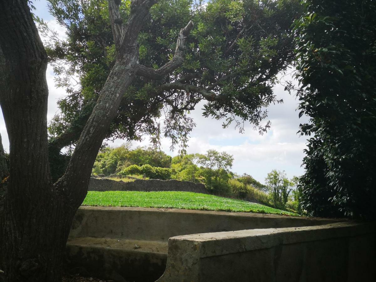 Quinta Das Camelias - Acores Ponta Delgada  Bagian luar foto